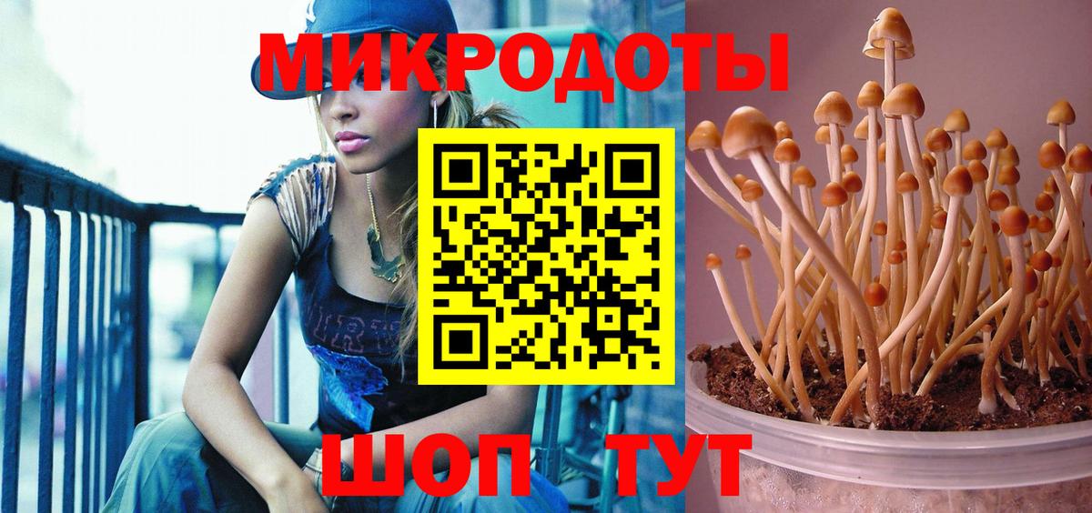 Пенза  Псилоцибиновые грибы Cubensis  Галлюциногенные грибы Magic Shrooms  где можно купить   Вход с VPN 